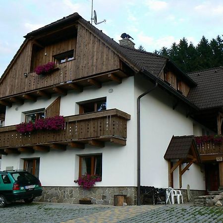 Apartmany U Vacu Železná Ruda Екстериор снимка
